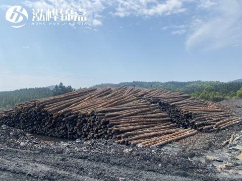 河道打樁為什么選擇松木樁來處理軟地基？-松木樁施工使用范圍