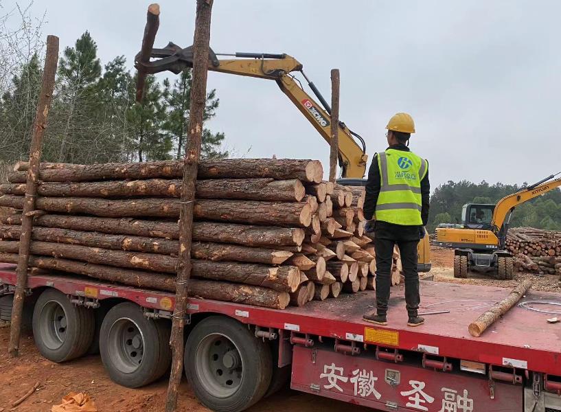 開(kāi)化城白公路改建工程二期松木樁施工